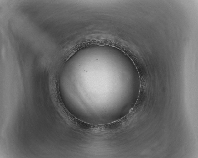 X0000113901489200909241427