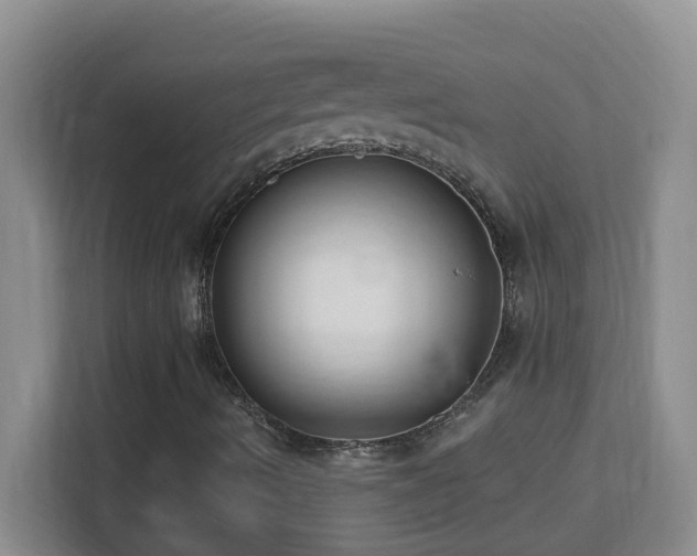 X0000113901490200909241427