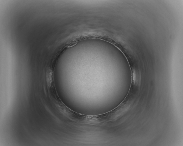 X0000113901492200909241427