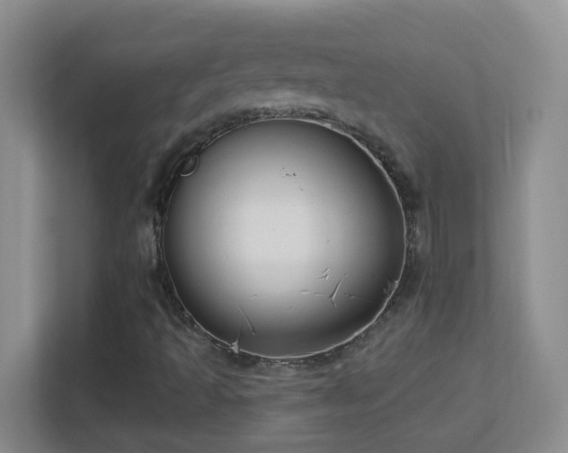 X0000113901493200909241427