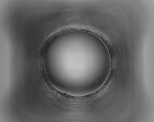 X0000113901494200909241427