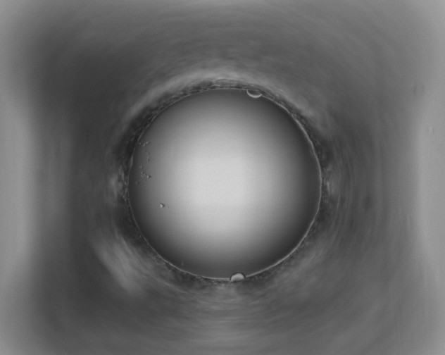 X0000113901495200909241427