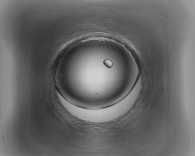 X0000113901496200909241427