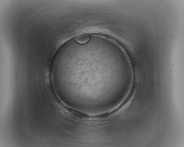 X0000113901497200909241427