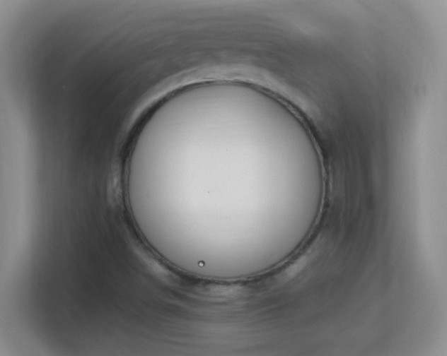 X0000113901498200909241427