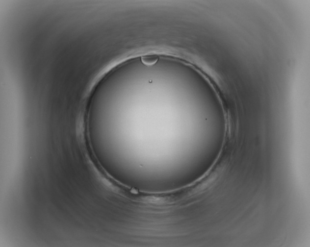 X0000113901500200909241427