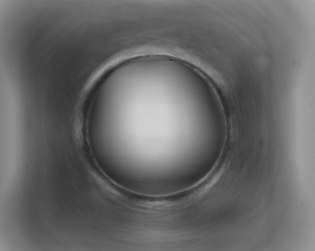 X0000113901502200909241427