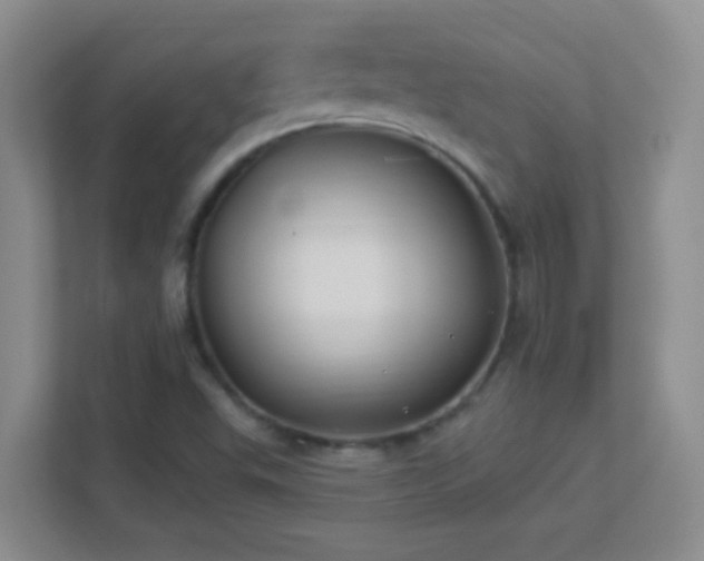 X0000113901503200909241427