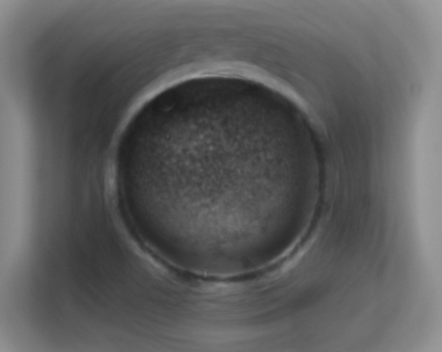 X0000113901506200909241427
