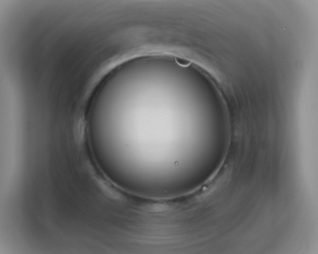 X0000113901507200909241427