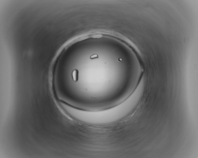X0000113901508200909241427