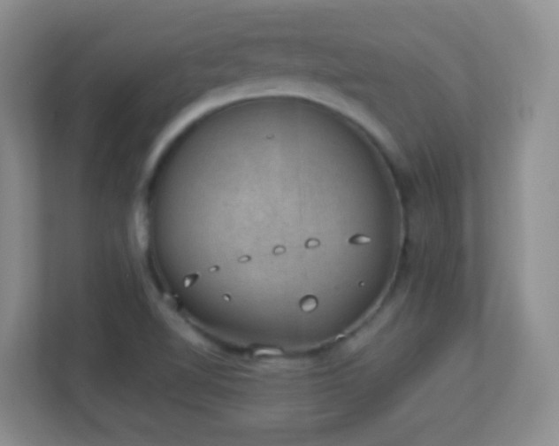 X0000113901510200909241427