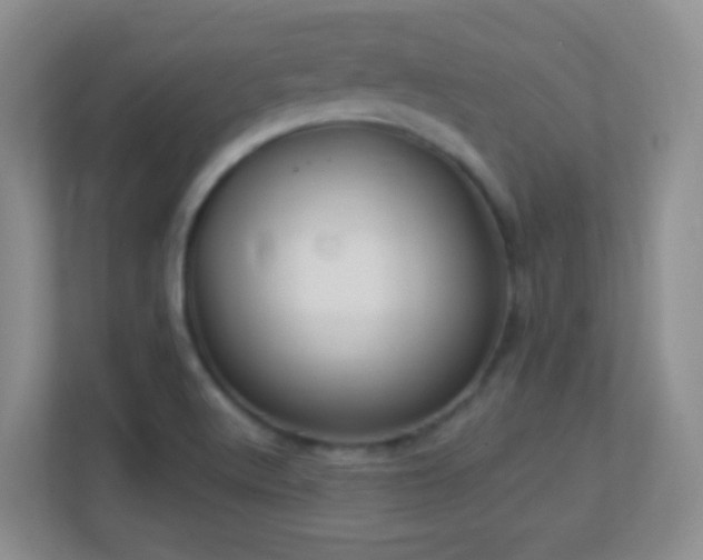 X0000113901512200909241427