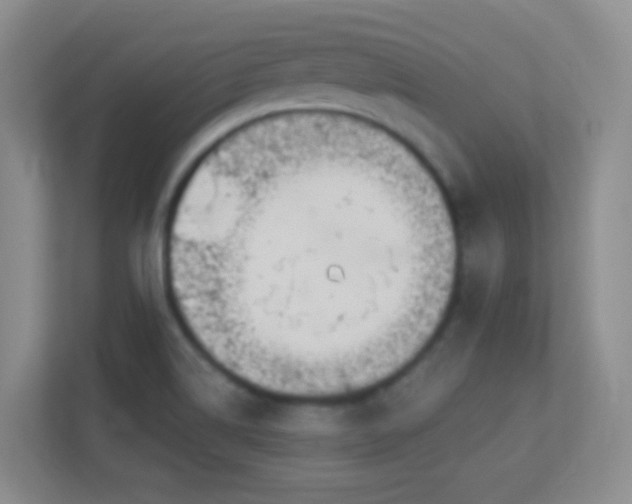 X0000113901514200909241427