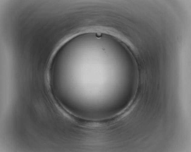X0000113901517200909241427