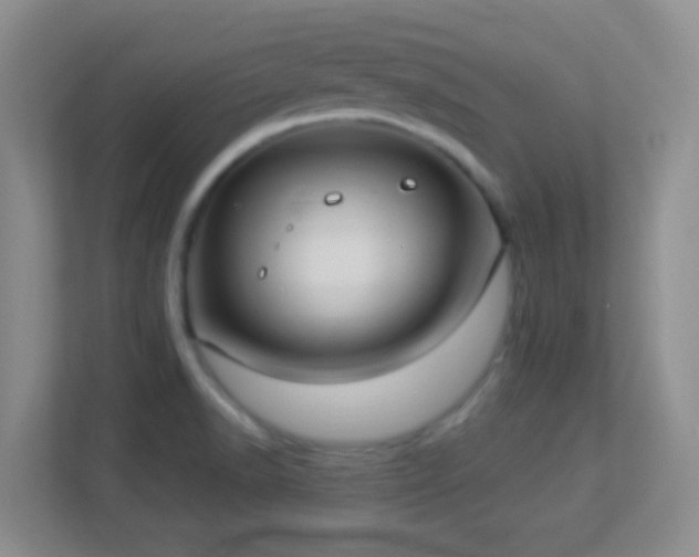X0000113901518200909241427