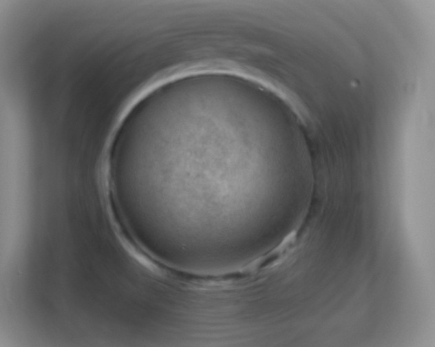 X0000113901519200909241427