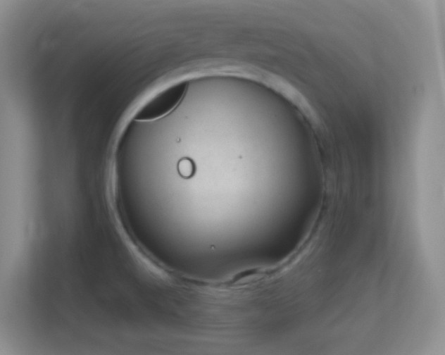 X0000113901520200909241427