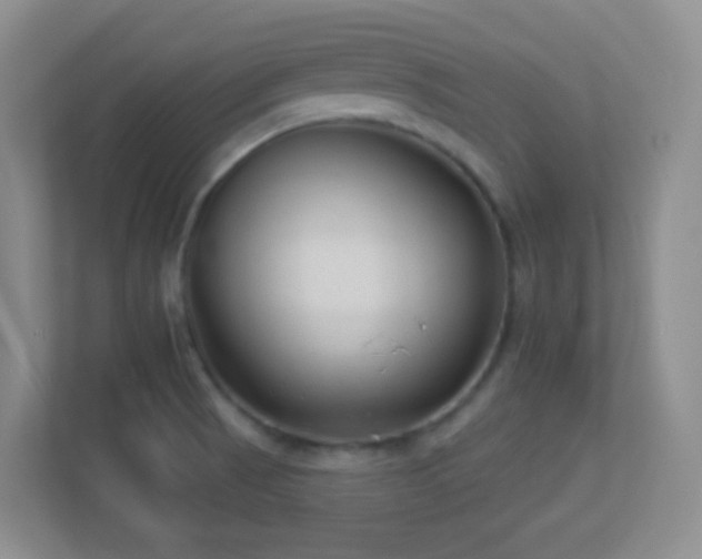 X0000113901521200909241427