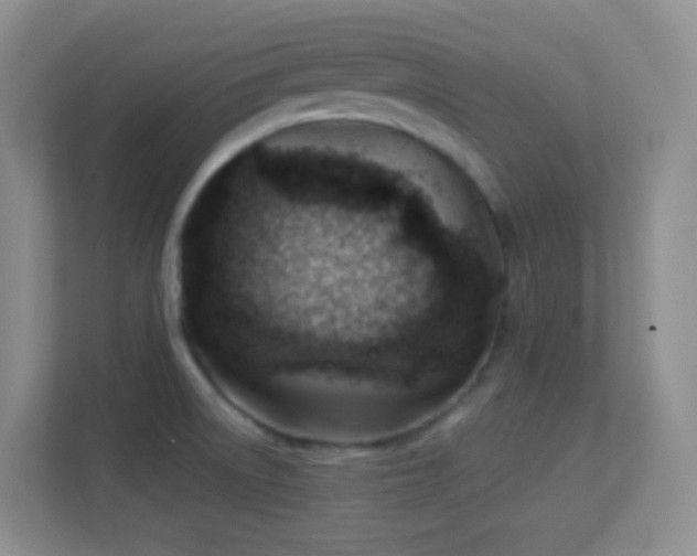 X0000113901522200909241427