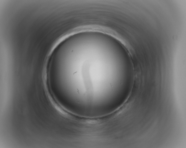 X0000113901523200909241427