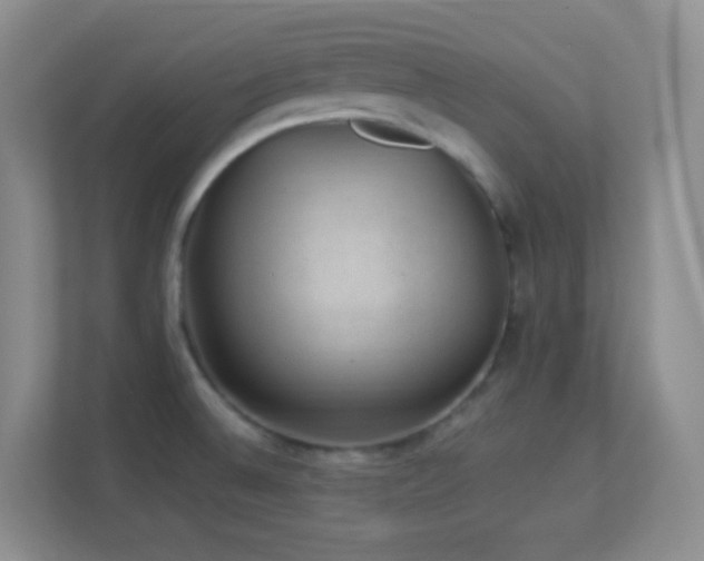 X0000113901524200909241427