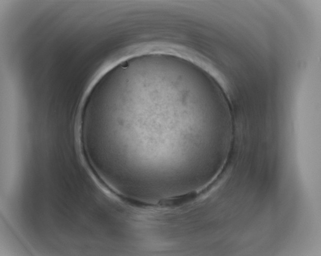 X0000113901525200909241427