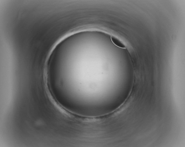 X0000113901526200909241427