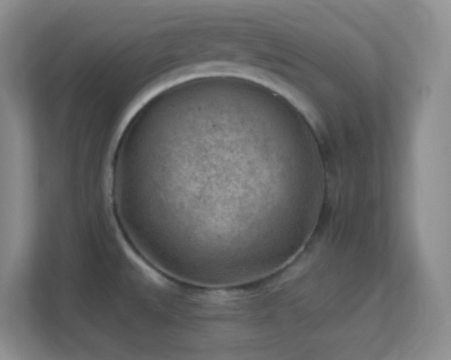 X0000113901527200909241427