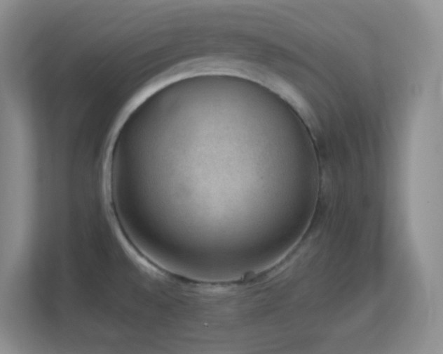 X0000113901528200909241427