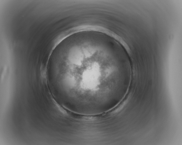 X0000113901529200909241427