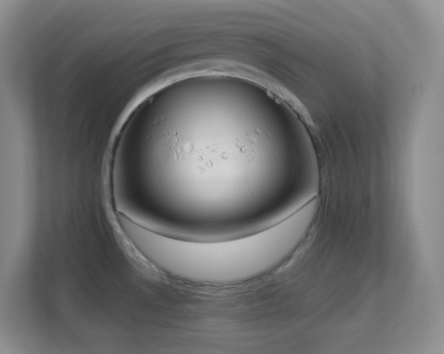 X0000113901530200909241427
