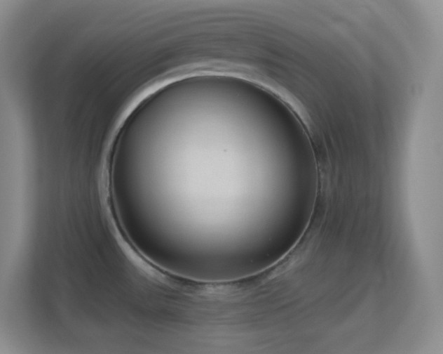 X0000113901531200909241427