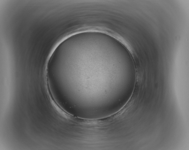 X0000113901532200909241427