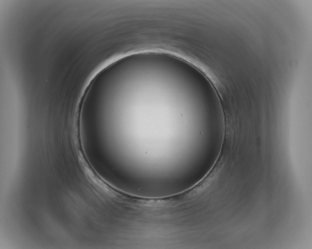 X0000113901534200909241427