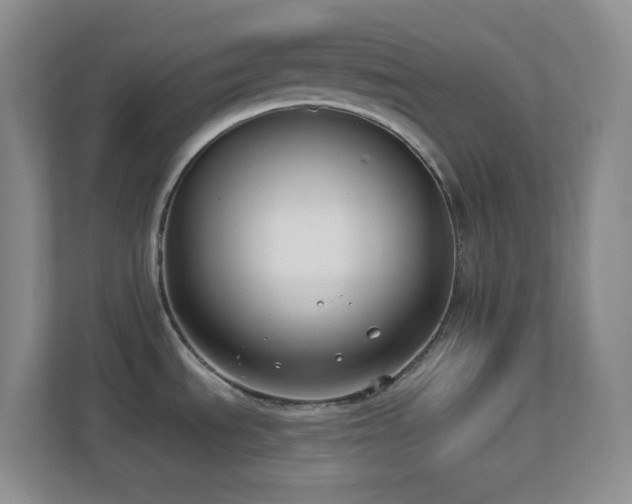X0000113901535200909241427