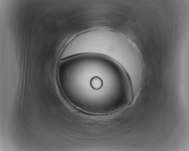 X0000113900001200910011352