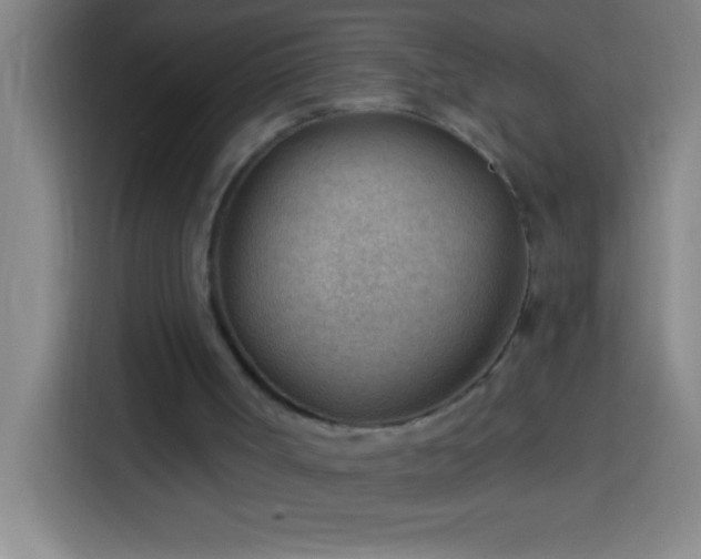 X0000113900002200910011352