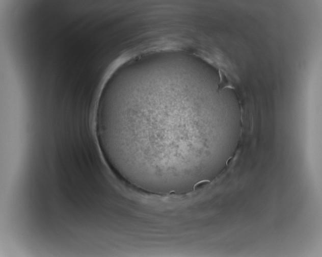 X0000113900003200910011352