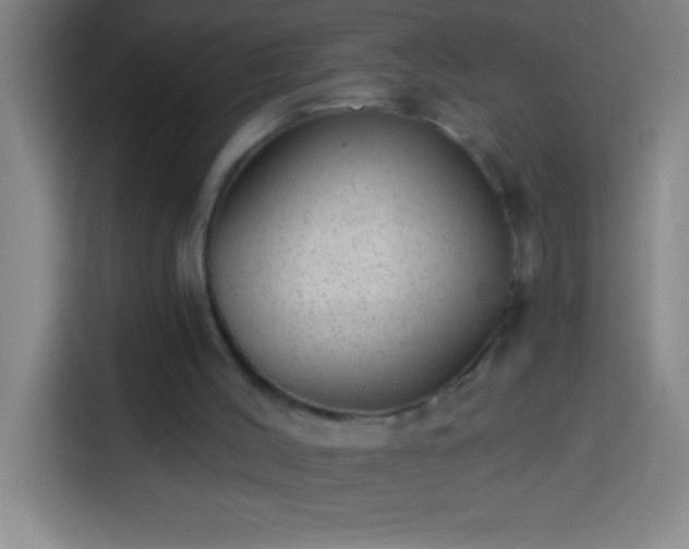 X0000113900004200910011352