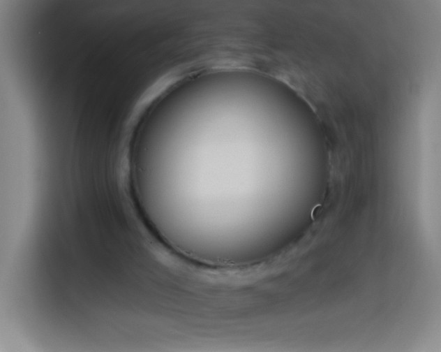 X0000113900005200910011352