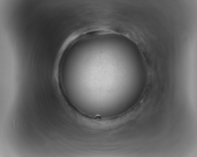 X0000113900006200910011352