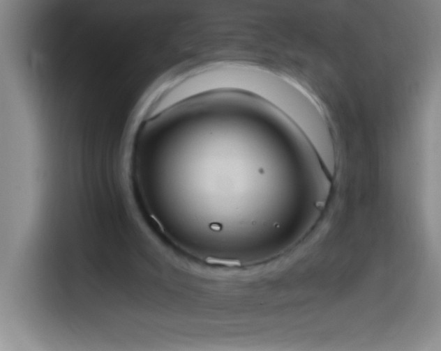 X0000113900007200910011352