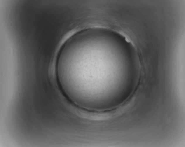 X0000113900008200910011352