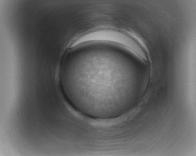 X0000113900009200910011352