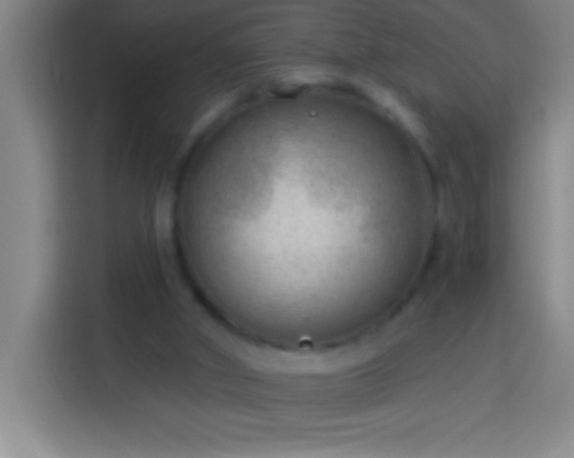 X0000113900010200910011352