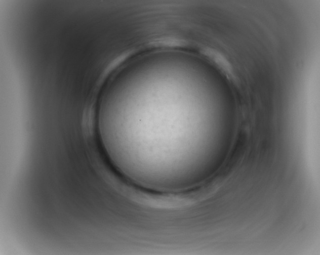 X0000113900012200910011352