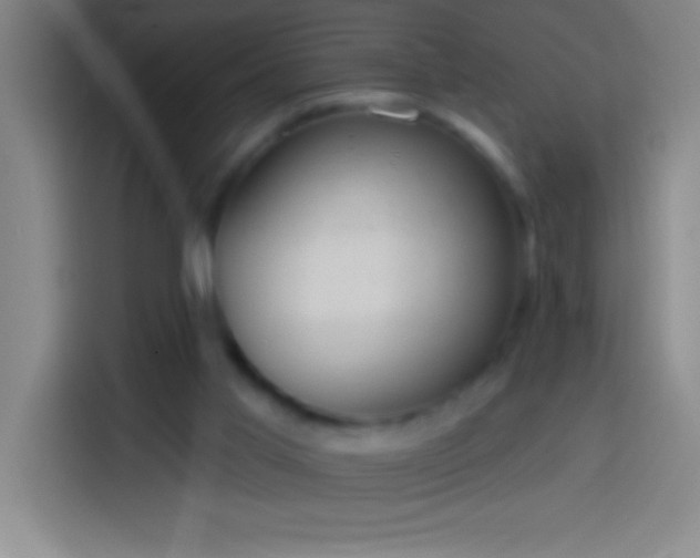 X0000113900013200910011352