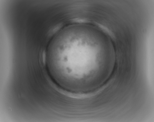 X0000113900014200910011352