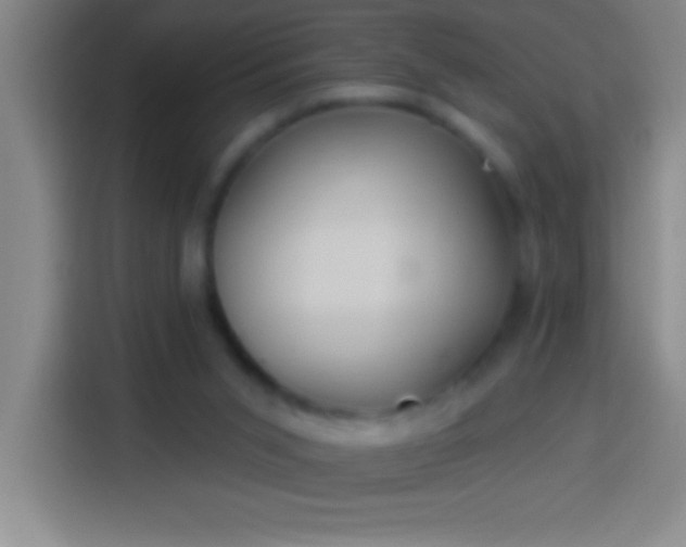 X0000113900015200910011352